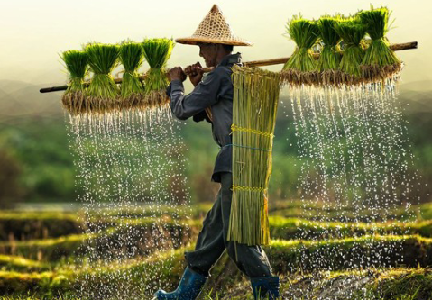 Hanoi